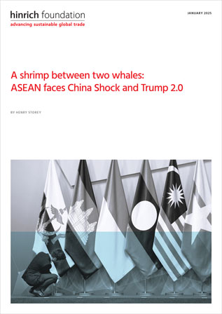 A shrimp between two whales: ASEAN faces China Shock and Trump 2.0